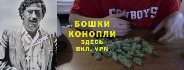 прущие крисы Верея