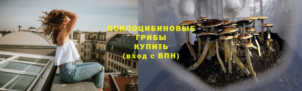 первитин Володарск