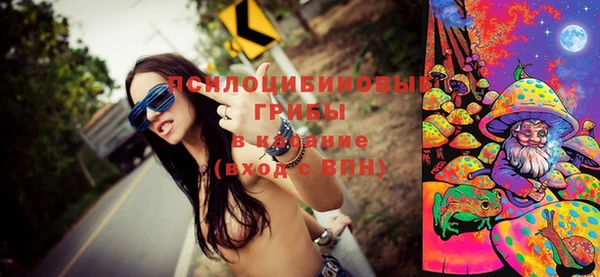 прущие крисы Верея