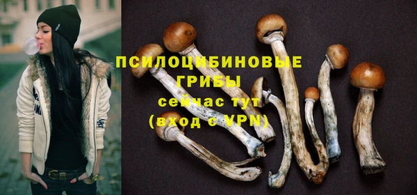 тгк Волоколамск